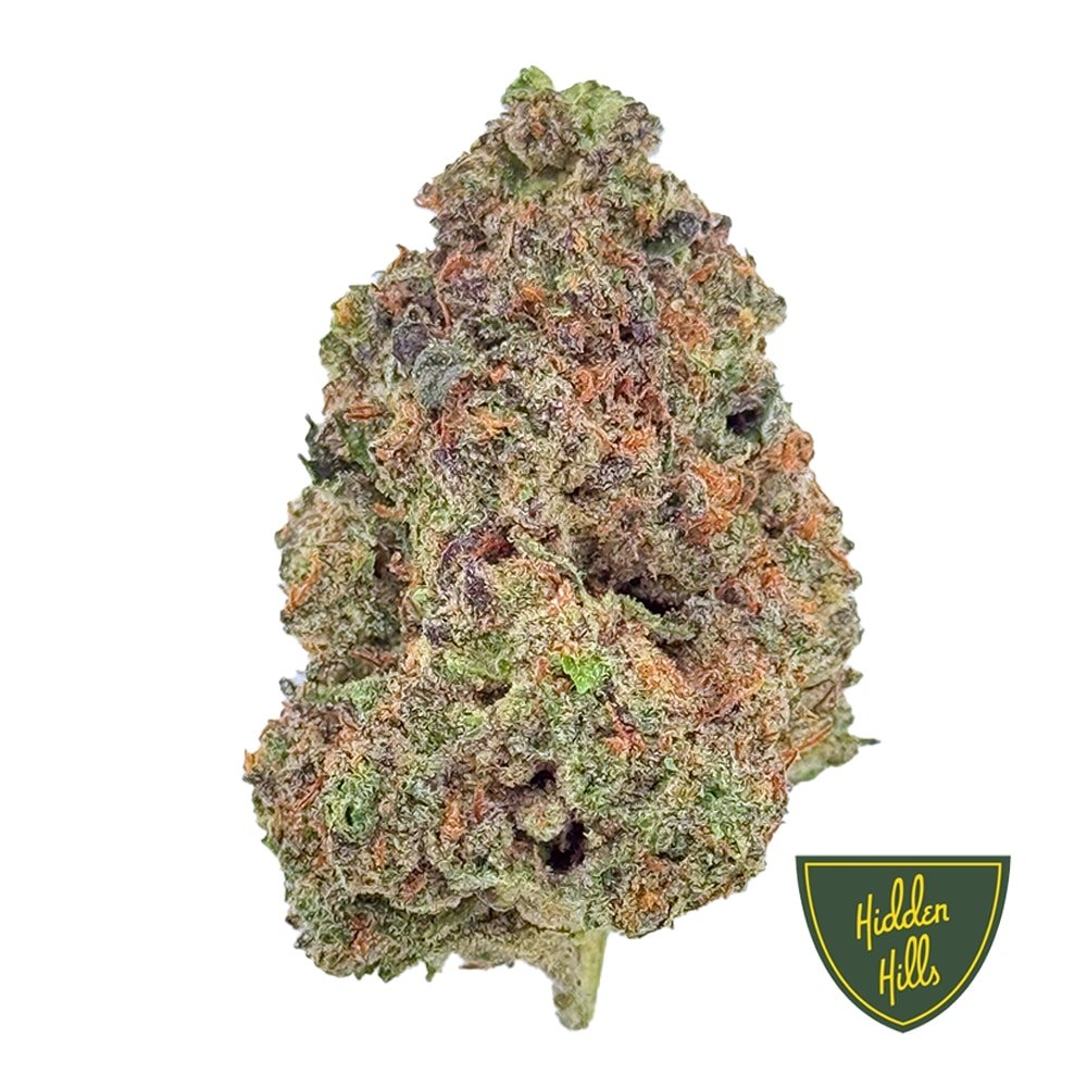 Flower | Gush Mintz.