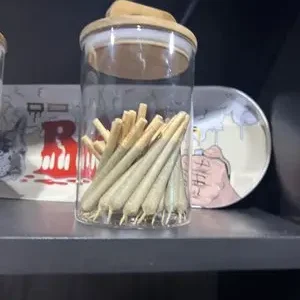 Flower | Gush Mintz.